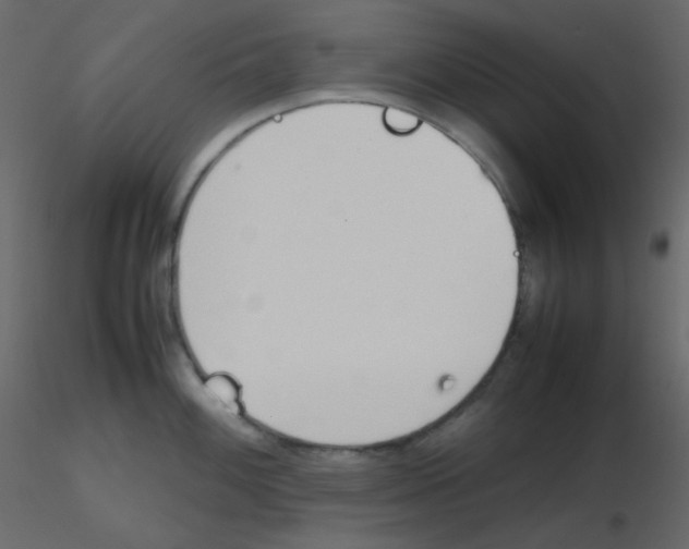 X0000115781100200912241805