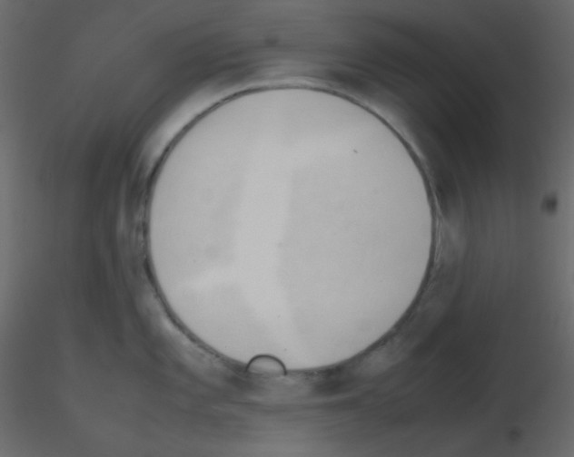 X0000115781101200912241805