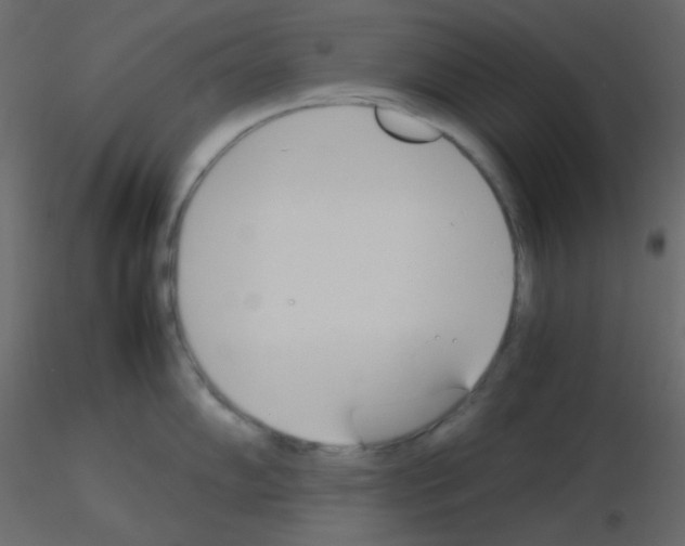 X0000115781102200912241805