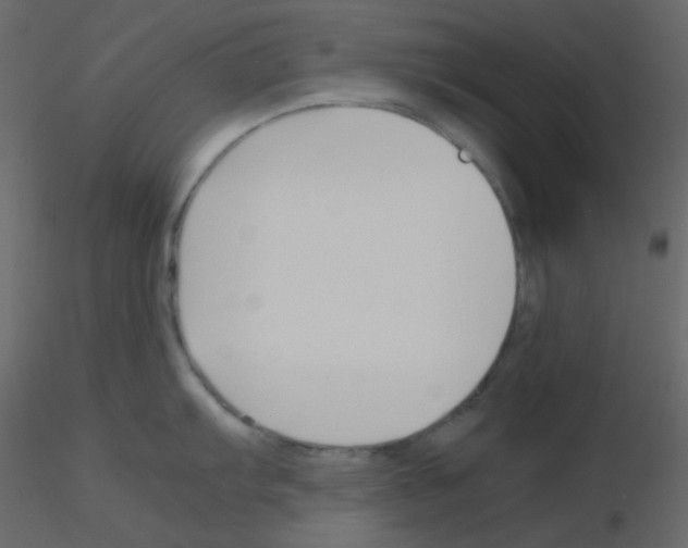 X0000115781103200912241805