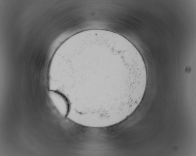 X0000115781104200912241805