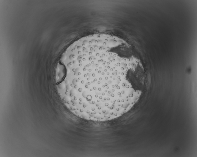 X0000115781105200912241805