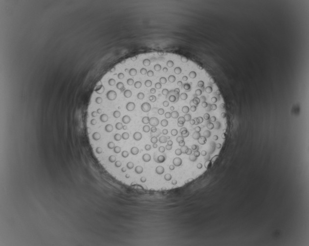 X0000115781106200912241805