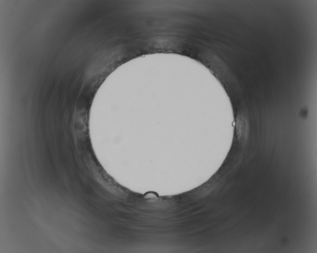 X0000115781107200912241805