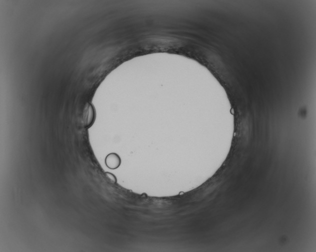 X0000115781109200912241805