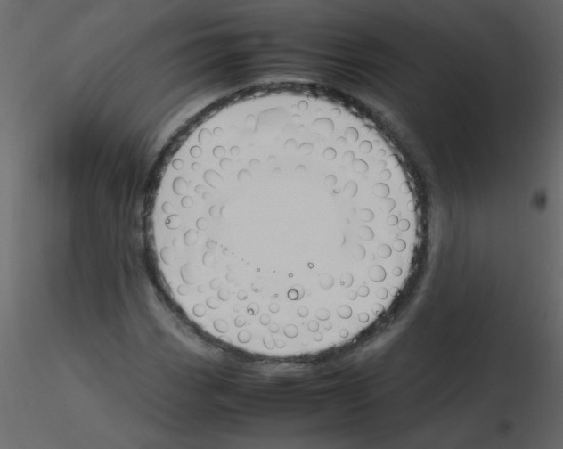 X0000115781113200912241805