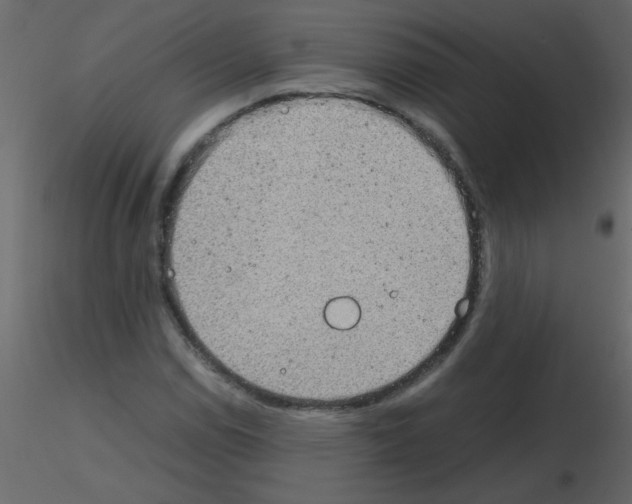 X0000115781114200912241805