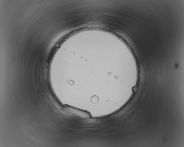 X0000115781115200912241805