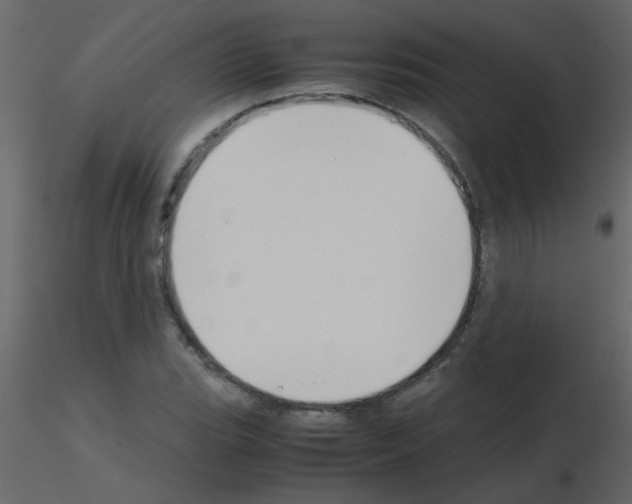 X0000115781119200912241805