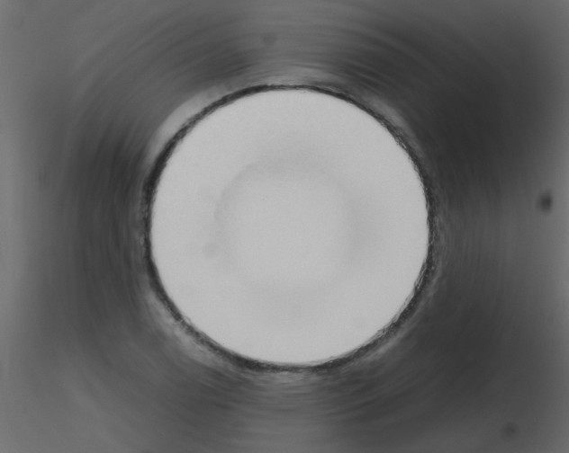 X0000115781122200912241805