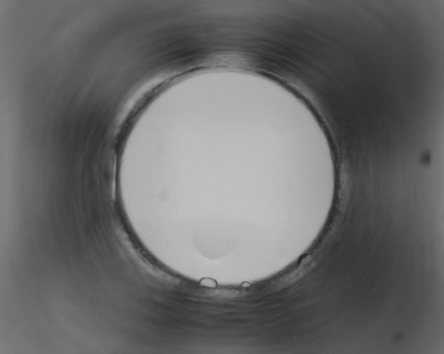 X0000115781123200912241805