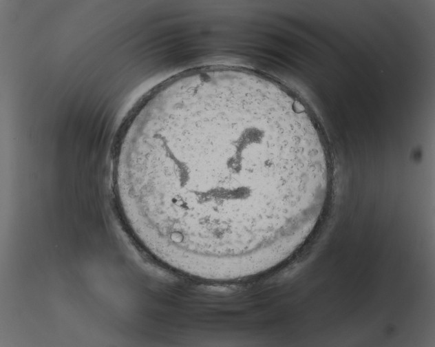 X0000115781125200912241805