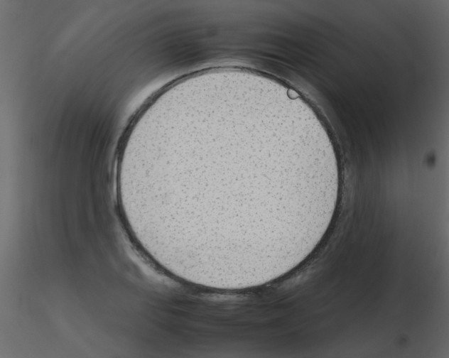 X0000115781127200912241805