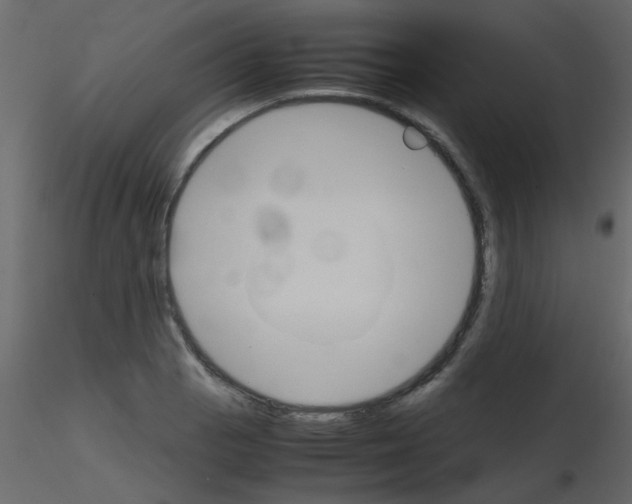 X0000115781129200912241805