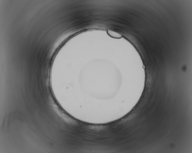 X0000115781131200912241805