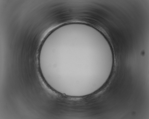 X0000115781133200912241805