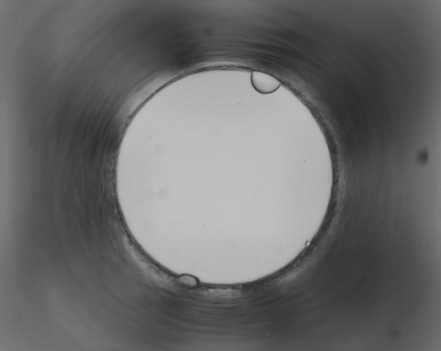 X0000115781137200912241805