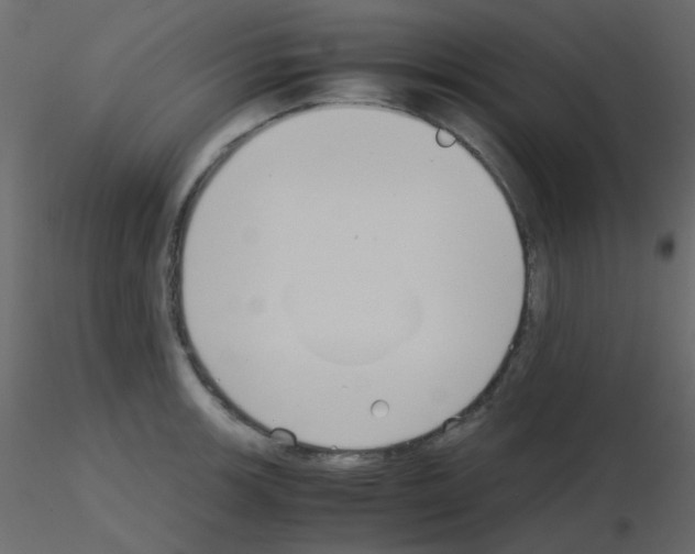 X0000115781139200912241805