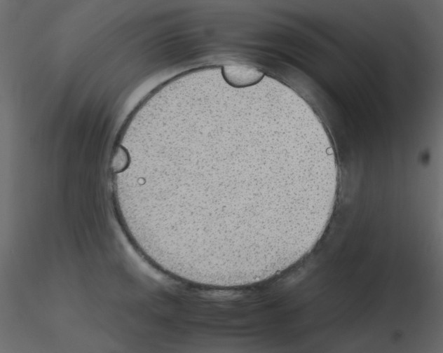 X0000115781141200912241805