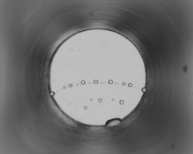 X0000115781142200912241805