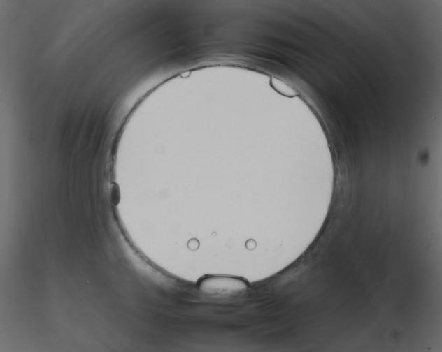 X0000115781143200912241805