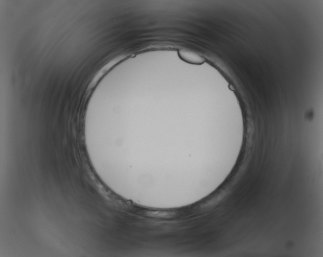 X0000115781145200912241805