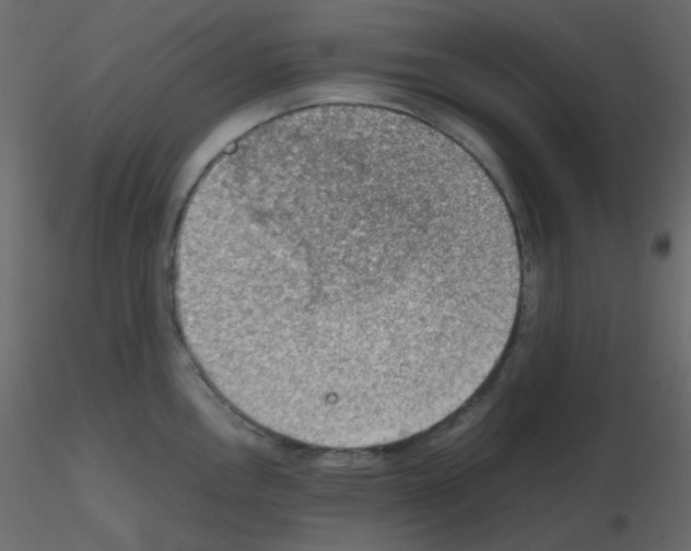 X0000115781146200912241805