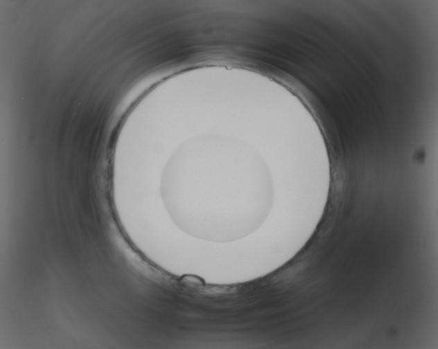 X0000115781147200912241805