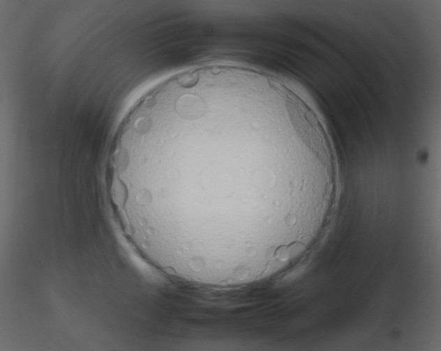 X0000115781149200912241805