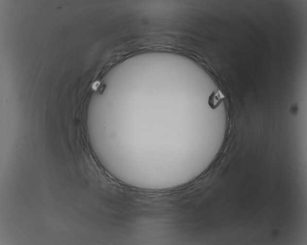 X0000115781153200912241805