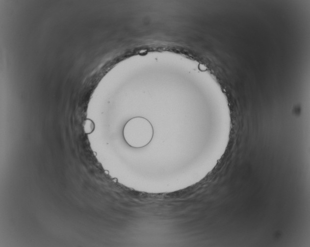 X0000115781157200912241805