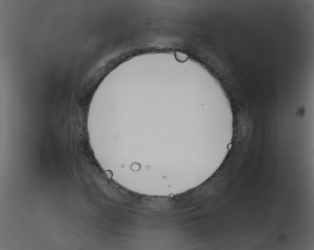 X0000115781158200912241805