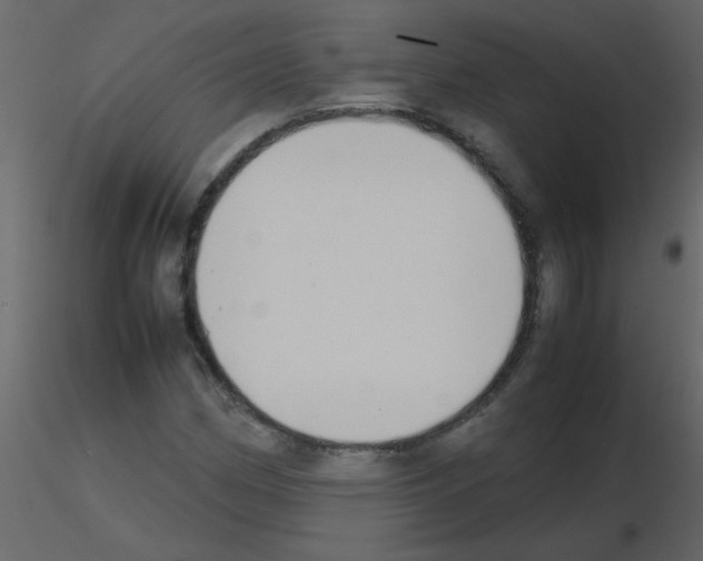 X0000115781162200912241804