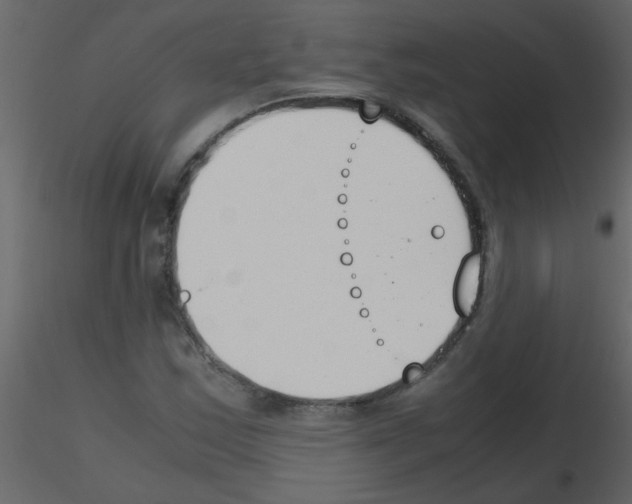 X0000115781163200912241804