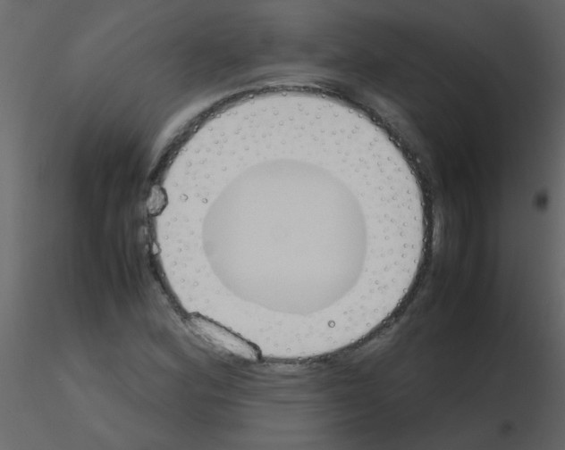 X0000115781164200912241804