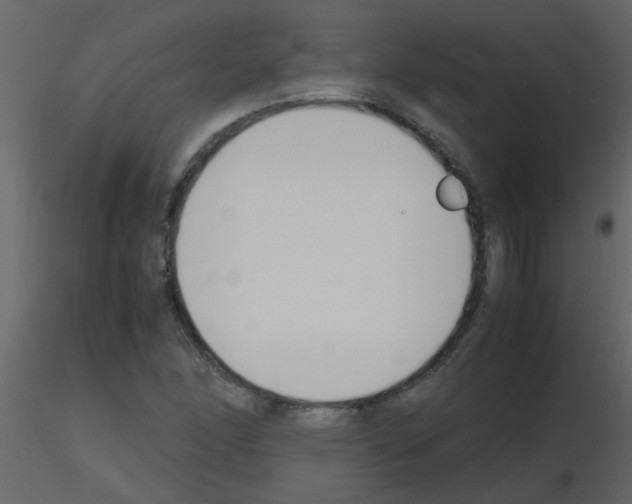 X0000115781166200912241804