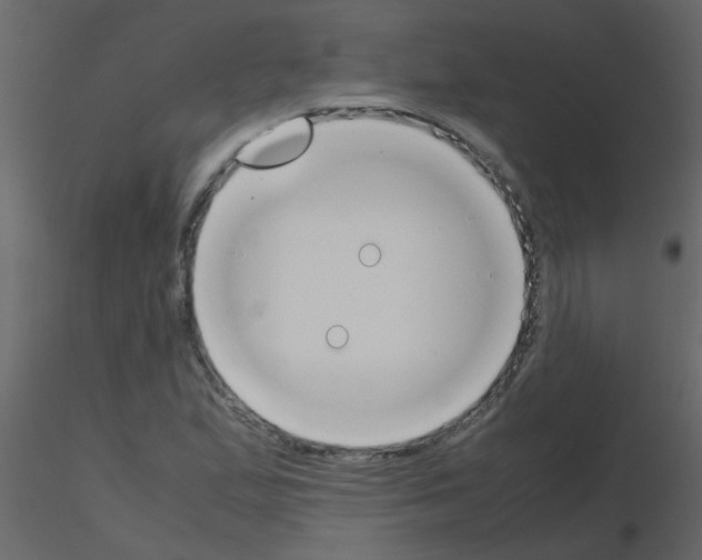 X0000115781167200912241804