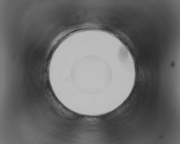 X0000115781168200912241804