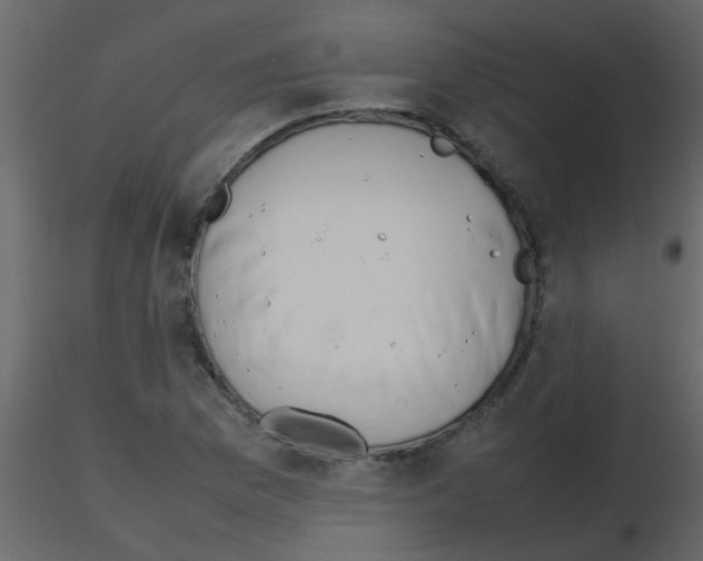 X0000115781169200912241804