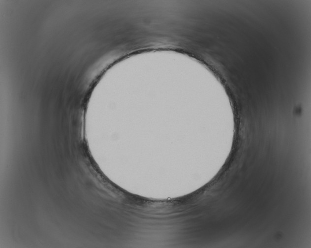 X0000115781171200912241804