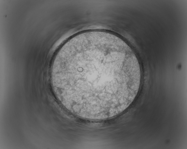 X0000115781173200912241804