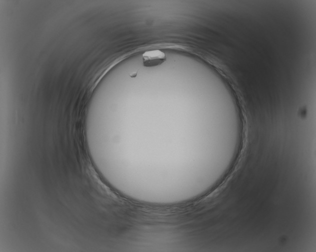 X0000115781177200912241804