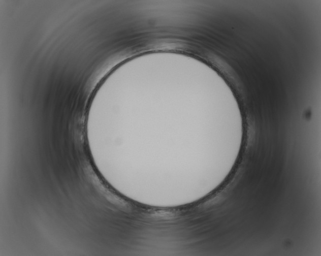 X0000115781178200912241804