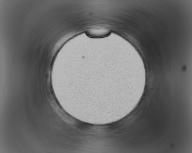 X0000115781179200912241804