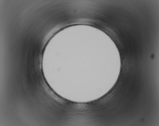 X0000115781180200912241804