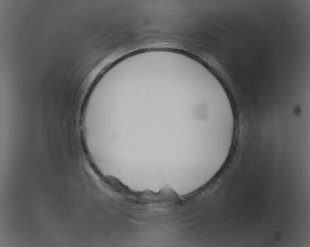 X0000115781181200912241804