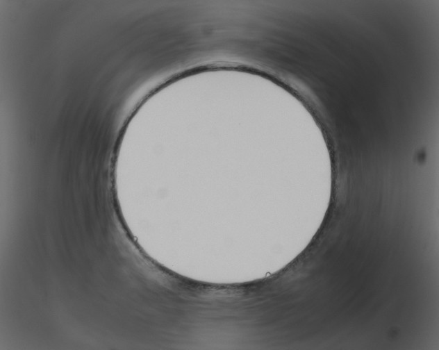 X0000115781183200912241804