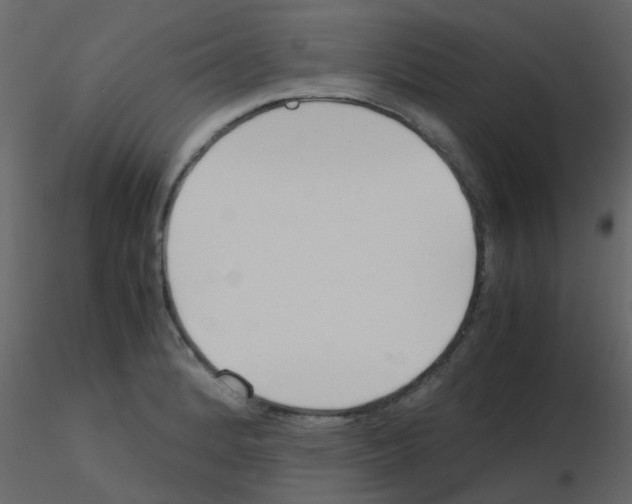 X0000115781184200912241804