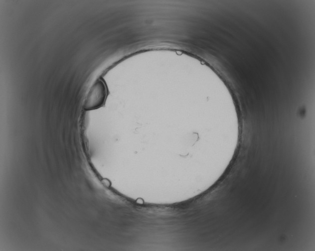 X0000115781189200912241804