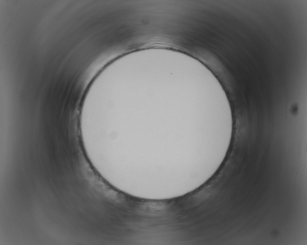 X0000115781190200912241804